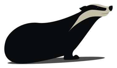 Porsuk, illüstrasyon, beyaz arkaplan vektörü.