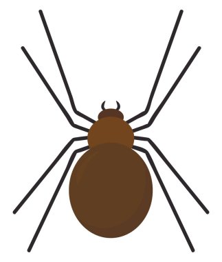 Kahverengi örümcek, illüstrasyon, beyaz arkaplanda vektör.