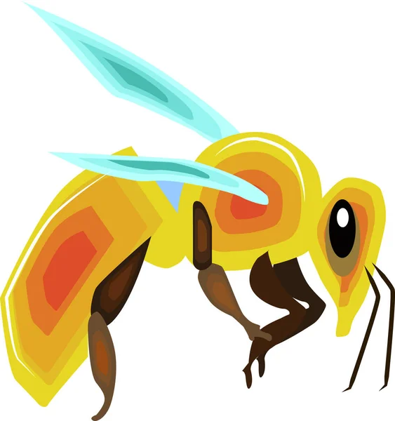 Grande abeille, illustration, vecteur sur fond blanc. — Image vectorielle