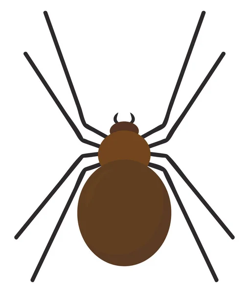 Bruine spin, illustratie, vector op witte achtergrond. — Stockvector