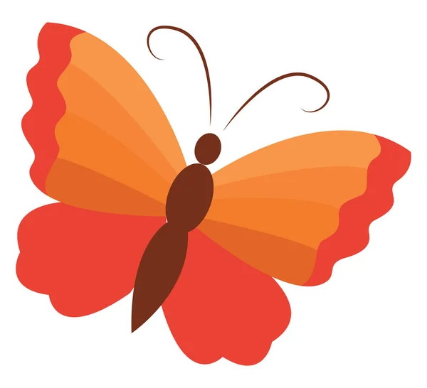 Orange butterfly, illustration, vector on white background. — Stock Vector