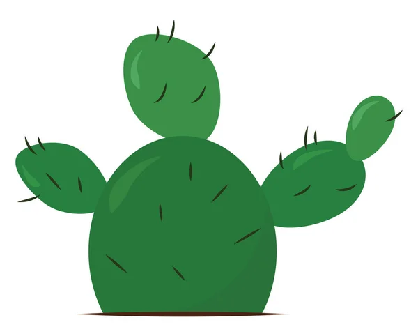 Cactus verde, ilustración, vector sobre fondo blanco . — Archivo Imágenes Vectoriales