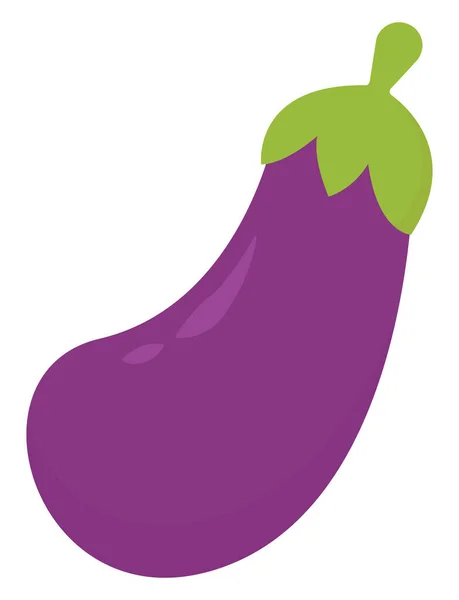 Eggplant, ilustrace, vektor na bílém pozadí. — Stockový vektor