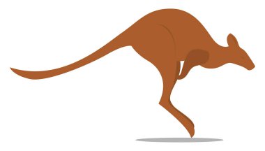 Kanguru, illüstrasyon, beyaz arka plan üzerinde vektör.