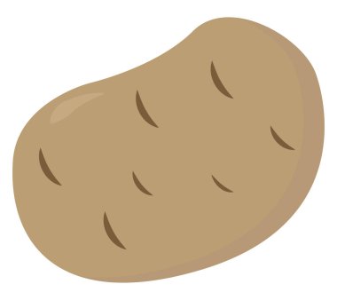 Patates, illüstrasyon, beyaz arka plan üzerinde vektör.