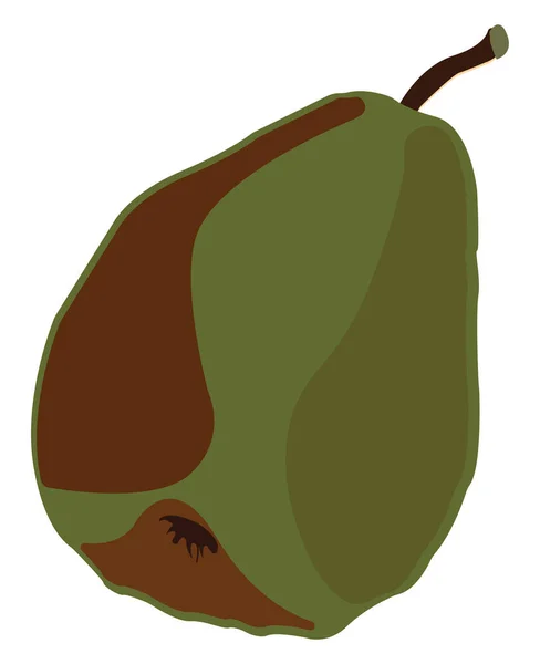 Poire verte, illustration, vecteur sur fond blanc. — Image vectorielle