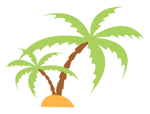 Palm trees, illustration, vector on white background. — Stock Vector