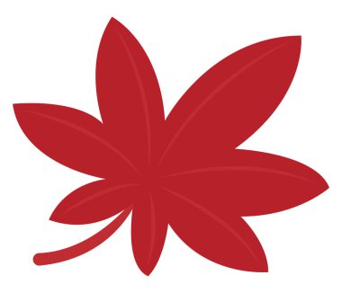 Kırmızı yaprak, illüstrasyon, beyaz arka plan üzerinde vektör.