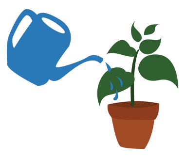 Sulama bitkisi, illüstrasyon, beyaz arkaplanda vektör.