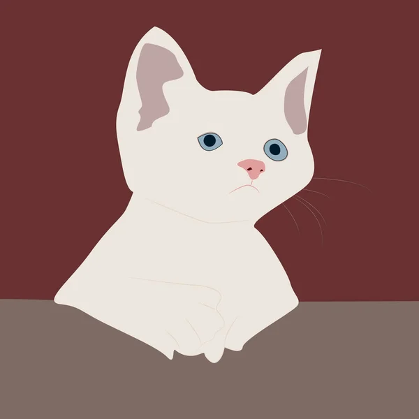 Gato blanco, ilustración, vector sobre fondo blanco . — Vector de stock