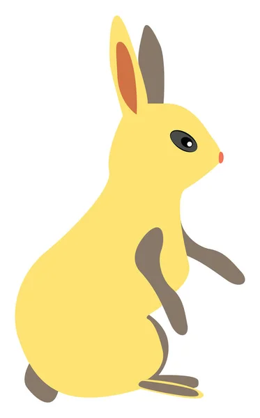 Yellow rabbit, illustration, vector on white background. — Stock Vector