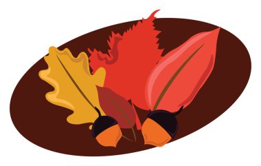 Sonbahar yaprakları, illüstrasyon, beyaz arkaplan üzerindeki vektör.