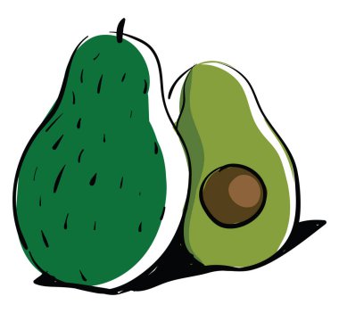 İlginç avokado, illüstrasyon, beyaz arkaplan vektörü.