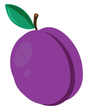 Mor erik beyazı, illüstrasyon, beyaz arkaplanda vektör.