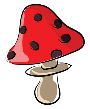 Orman mantarı, illüstrasyon, beyaz arkaplanda vektör.