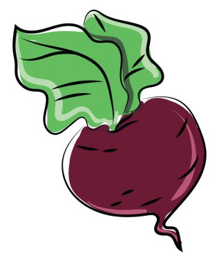 Pancar çizimi, illüstrasyon, beyaz arka plan üzerinde vektör.