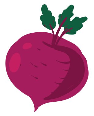 Düz pancar, illüstrasyon, beyaz arkaplan üzerindeki vektör.