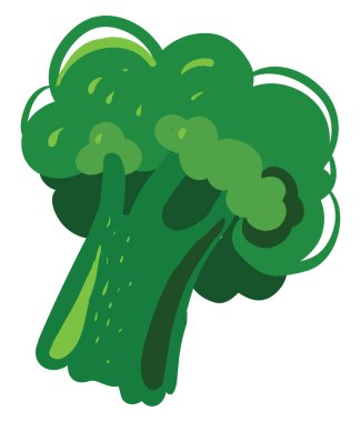 Düz brokoli, illüstrasyon, beyaz arkaplan üzerindeki vektör.