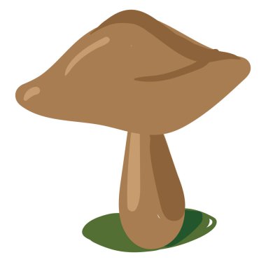 Kahverengi mantar, illüstrasyon, beyaz arkaplanda vektör.