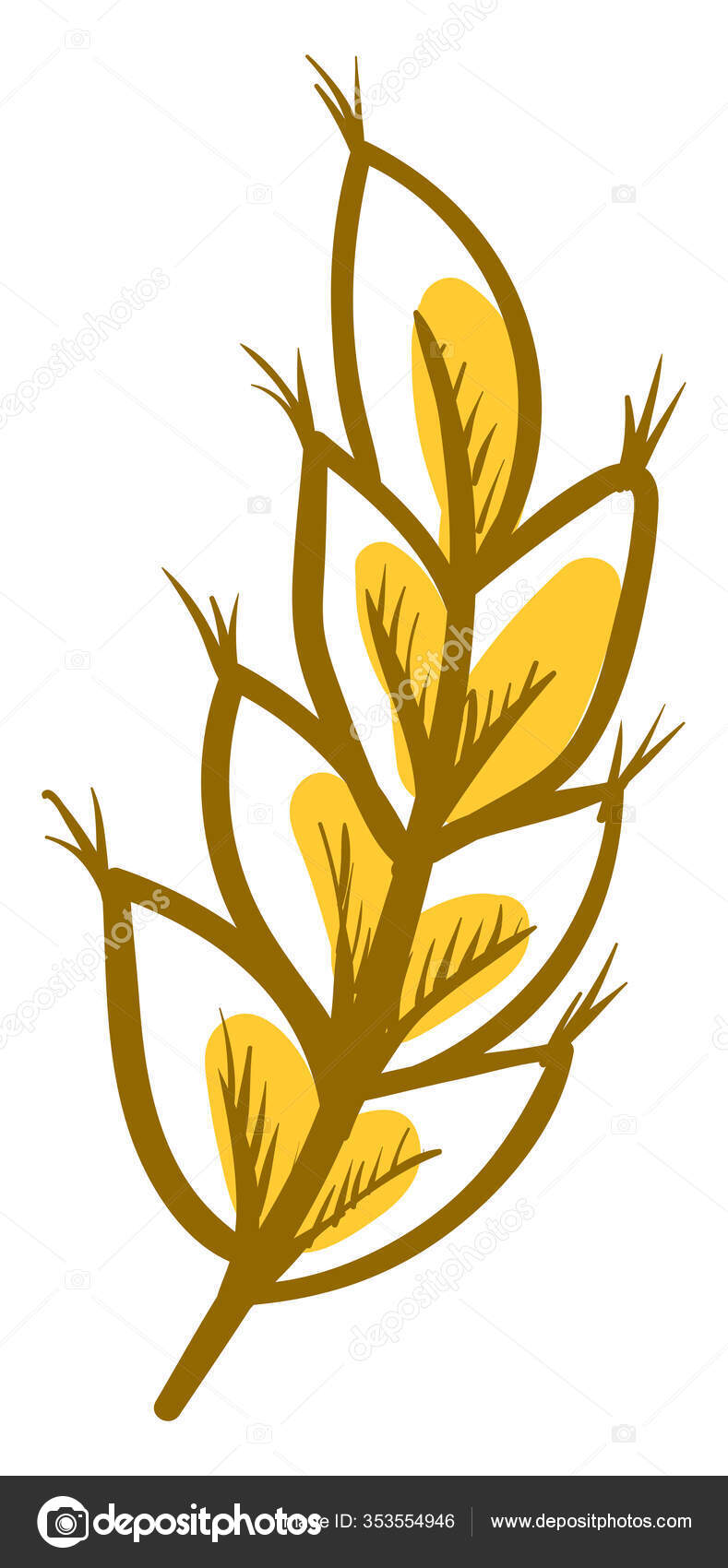 Image vectorielle Blé Dessin Illustration Vecteur Sur Fond Blanc par  ©Morphart - 353554946, image size:789x1700