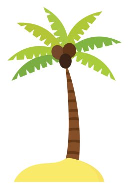 Hindistan cevizi ağacı, illüstrasyon, beyaz arka plan vektör.