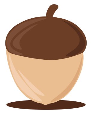 Kahverengi meşe palamudu, illüstrasyon, beyaz arkaplanda vektör.