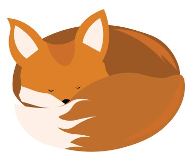 Uyuyan tilki, illüstrasyon, beyaz arka plan vektör.