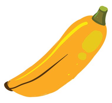 Muz düzlüğü, illüstrasyon, beyaz arkaplanda vektör.