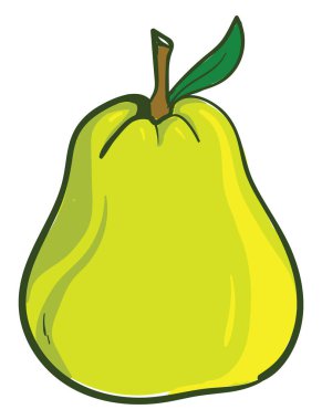 İlginç guava, illüstrasyon, beyaz arkaplanda vektör.