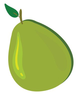 Düz guava, illüstrasyon, beyaz arkaplan üzerindeki vektör.
