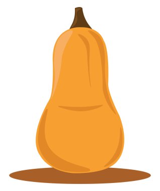 Balkabağı, illüstrasyon, beyaz arka plan üzerinde vektör.