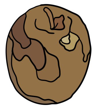 Kahverengi elma, illüstrasyon, beyaz arkaplanda vektör.