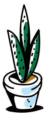 Bir kaba bitki, illüstrasyon, beyaz arkaplanda vektör.