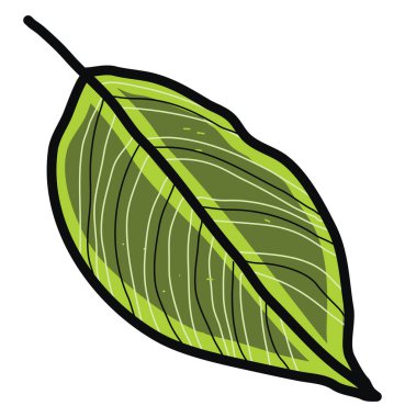 yeşil yaprak, illüstrasyon, beyaz arkaplan üzerindeki vektör.