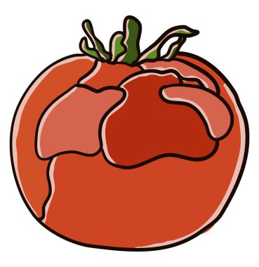 Düz domates, illüstrasyon, beyaz arka plan üzerinde vektör.