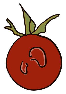 Kırmızı domates, illüstrasyon, beyaz arkaplanda vektör.