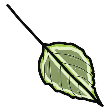 Yeşil yaprak düz, illüstrasyon, beyaz arkaplan üzerindeki vektör.