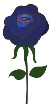 Mavi gül, illüstrasyon, beyaz arkaplanda vektör.