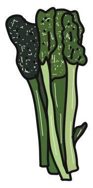 Brokolini düz, resimleme, beyaz arkaplan üzerinde vektör.