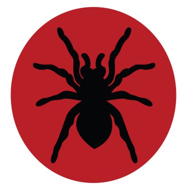 Siyah örümcek, illüstrasyon, beyaz arkaplanda vektör.