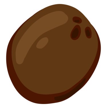 Düz hindistan cevizi, illüstrasyon, beyaz arka plan vektör.