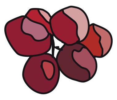 Mor üzümler, illüstrasyon, beyaz arkaplanda vektör.