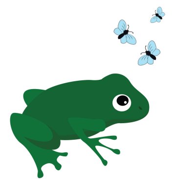 Sinekli kurbağa, illüstrasyon, beyaz arkaplanda vektör.