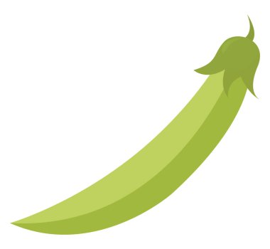 Yeşil biber, illüstrasyon, beyaz arkaplanda vektör.