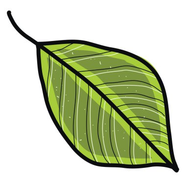 Ağaç yaprağı, illüstrasyon, beyaz arkaplan üzerindeki vektör.