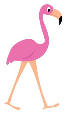 Pembe flamingo, illüstrasyon, beyaz arkaplanda vektör.