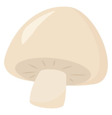 Beyaz mantar, illüstrasyon, beyaz arkaplanda vektör.