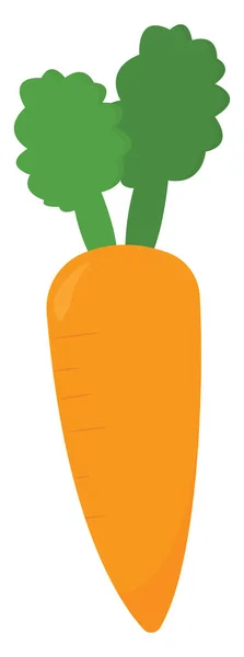 Orangefarbene Karotte Illustration Vektor Auf Weißem Hintergrund — Stockvektor