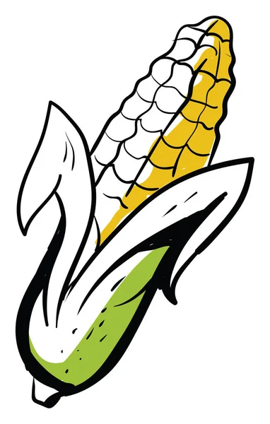 玉米草图 白色背景上的矢量 — 图库矢量图片