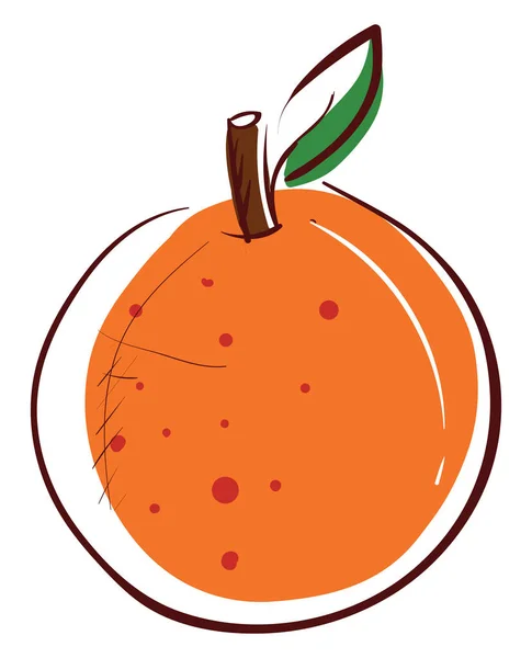 Décoratif Orange Illustration Vecteur Sur Fond Blanc — Image vectorielle